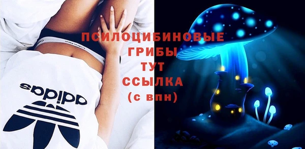 мдпв Мегион