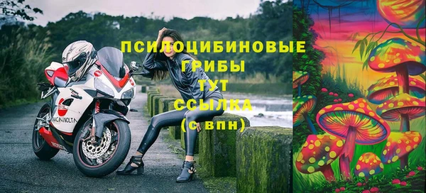 мдпв Мегион