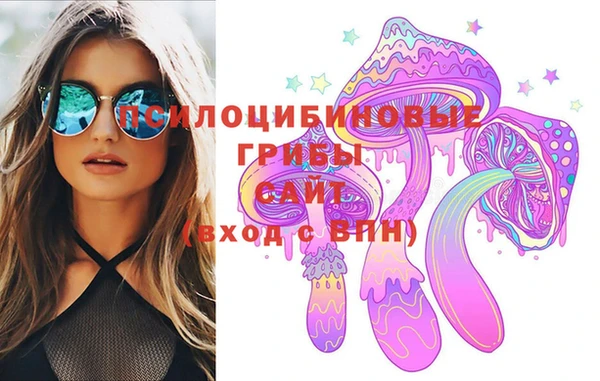 ECSTASY Медногорск