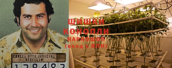 мдпв Мегион
