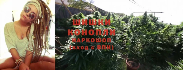 ECSTASY Медногорск