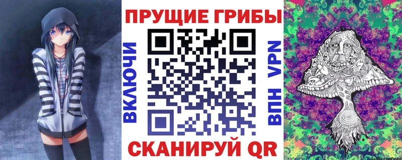 Псилоцибиновые грибы MAGIC MUSHROOMS  Купить закладки  Свободный 